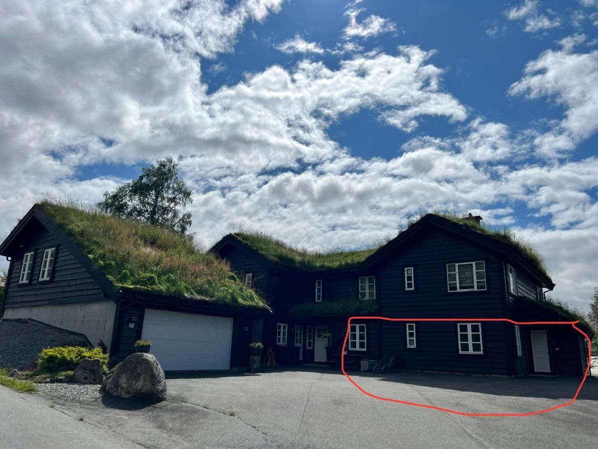 Flott Leilighet Pa Haugen I Sirdal Tjorhom Екстер'єр фото