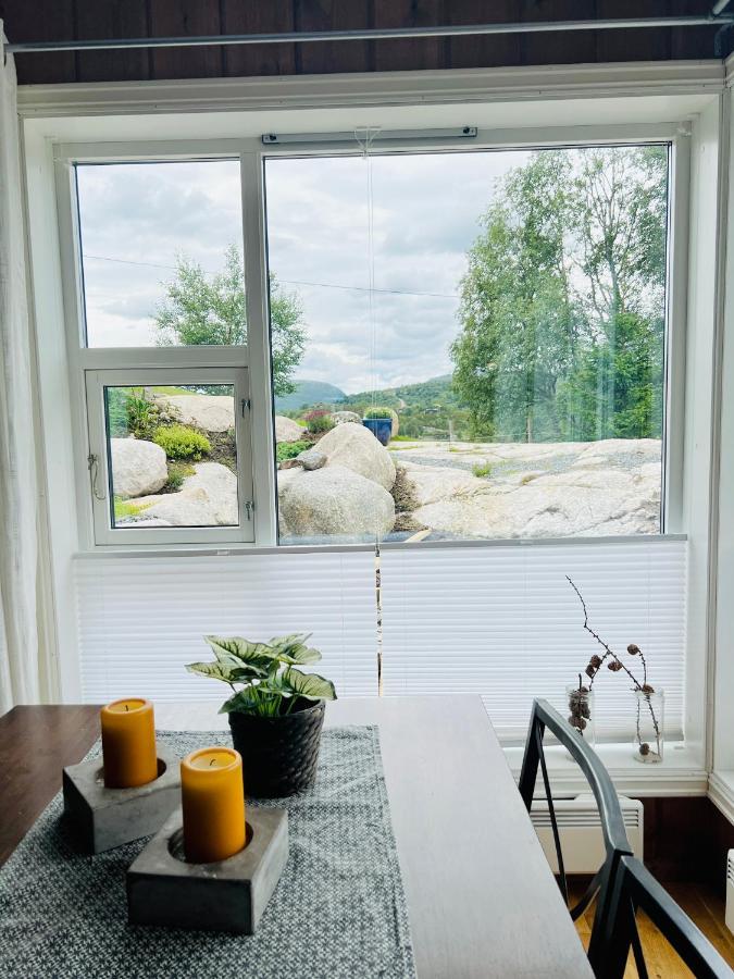 Flott Leilighet Pa Haugen I Sirdal Tjorhom Екстер'єр фото