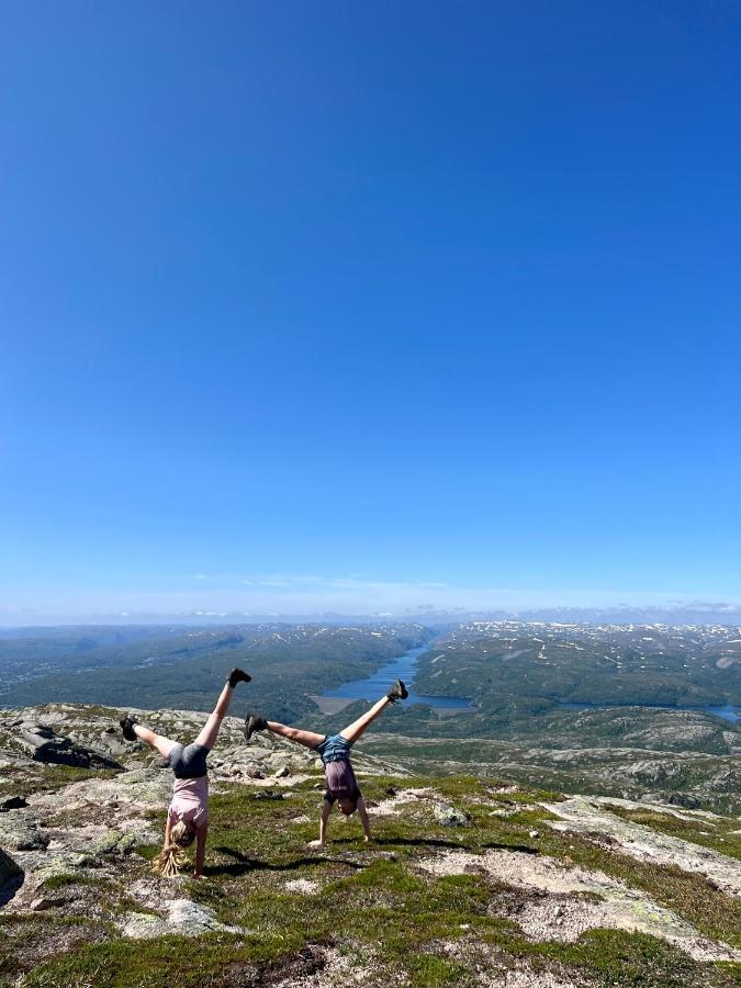 Flott Leilighet Pa Haugen I Sirdal Tjorhom Екстер'єр фото