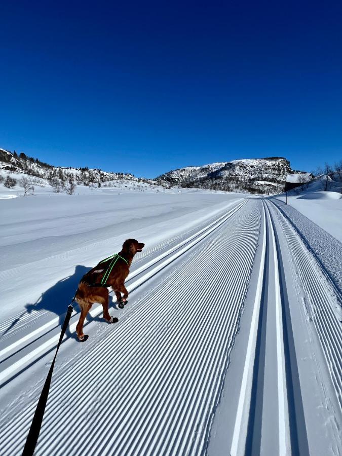 Flott Leilighet Pa Haugen I Sirdal Tjorhom Екстер'єр фото
