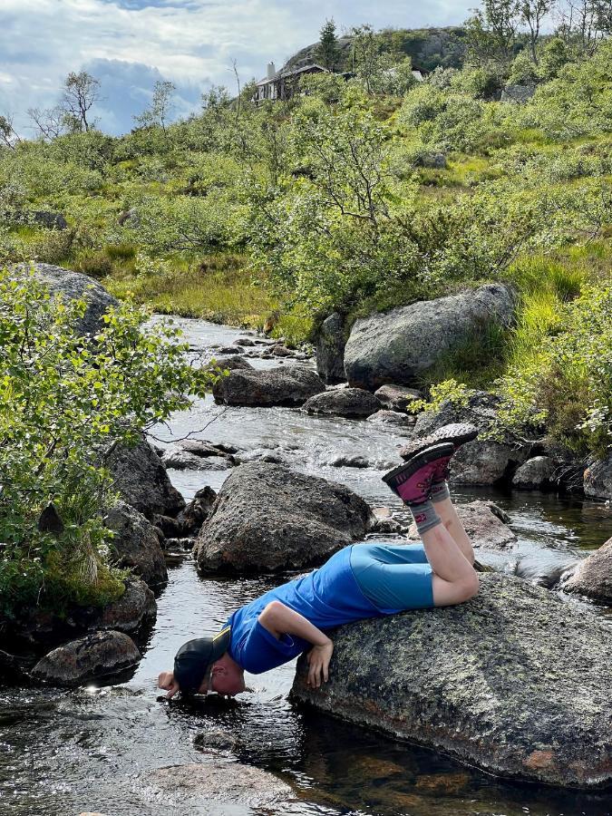 Flott Leilighet Pa Haugen I Sirdal Tjorhom Екстер'єр фото