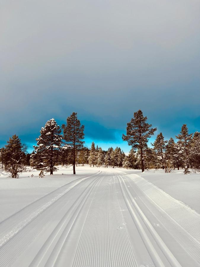 Flott Leilighet Pa Haugen I Sirdal Tjorhom Екстер'єр фото