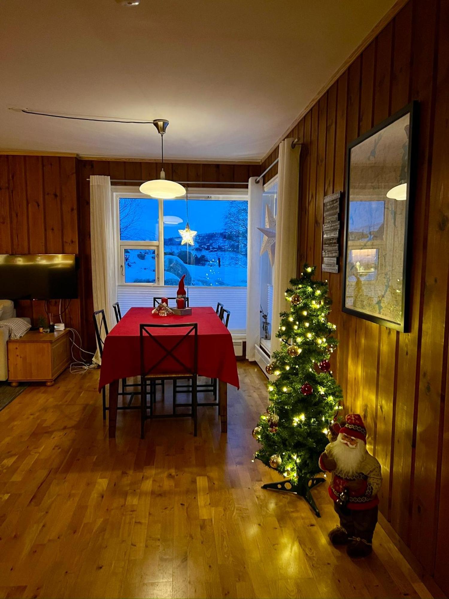 Flott Leilighet Pa Haugen I Sirdal Tjorhom Екстер'єр фото
