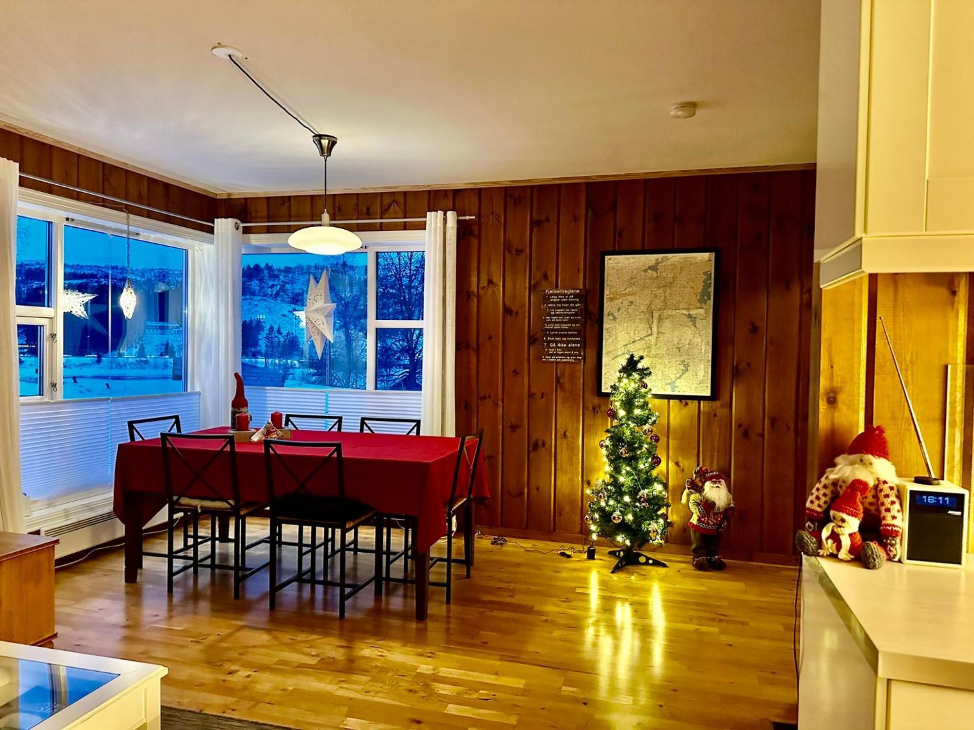 Flott Leilighet Pa Haugen I Sirdal Tjorhom Екстер'єр фото